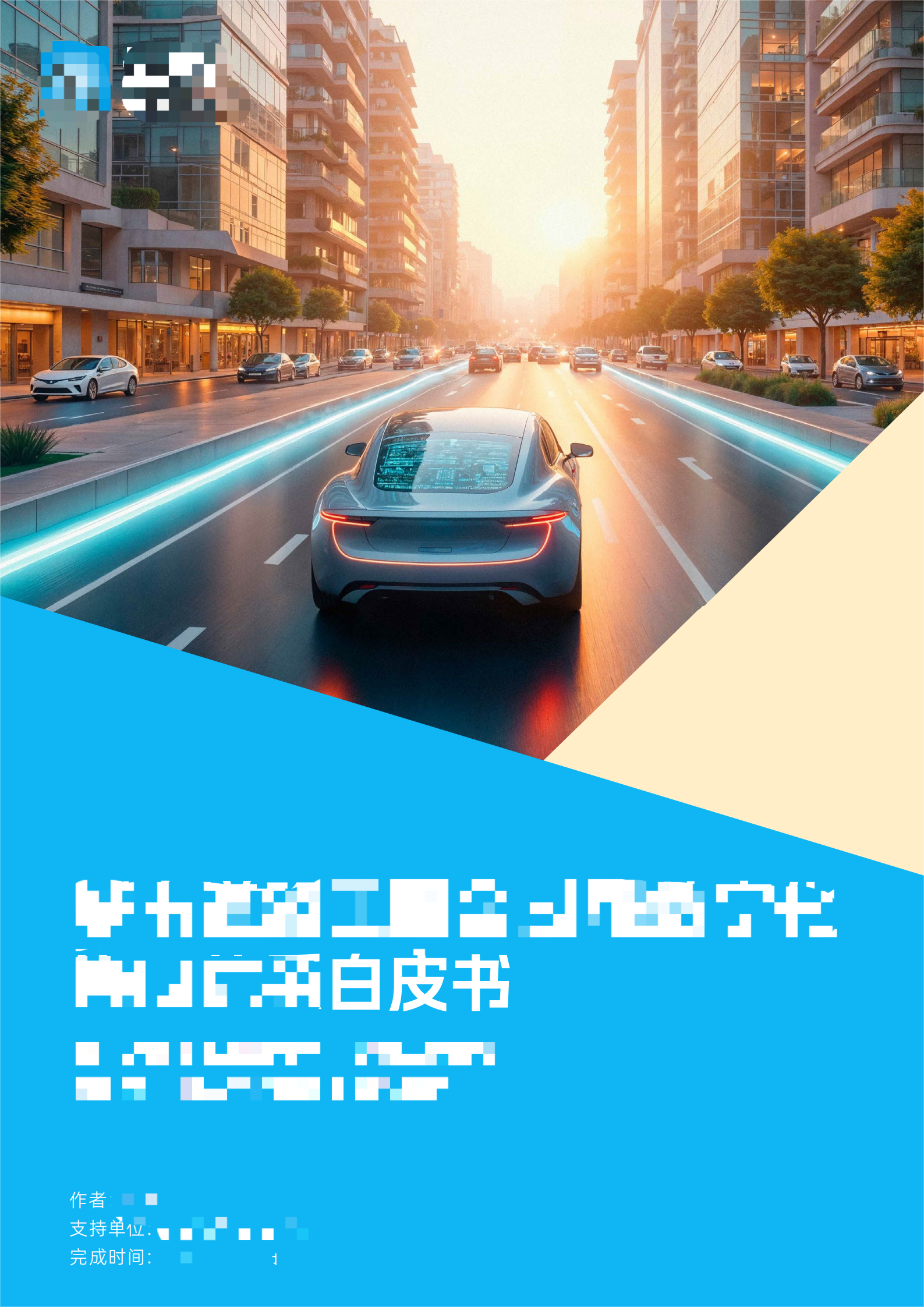White Paper案例材料