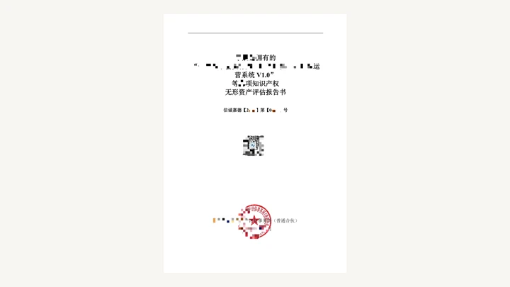 无形资产评估报告实例图