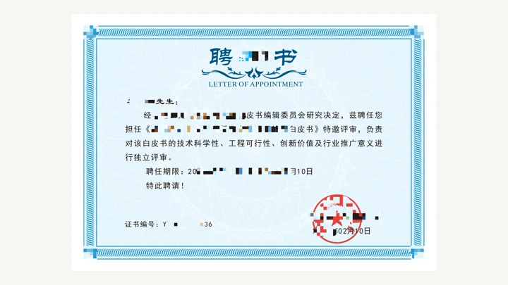 白皮书审稿实例图