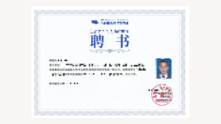 Review Committee Member实例图