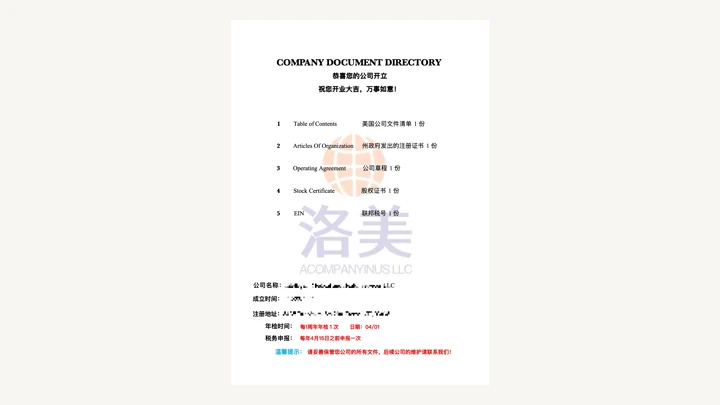 代注册美国公司实例图